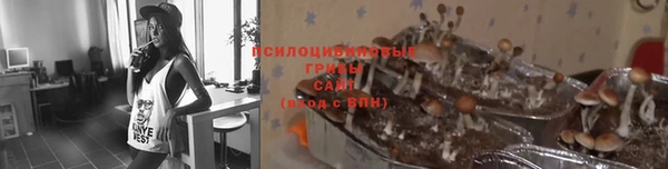 mix Абаза