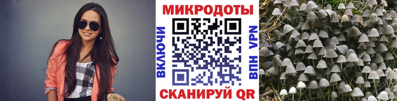 Галлюциногенные грибы Psilocybine cubensis Мамадыш